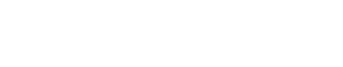 Conexson Logo